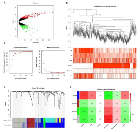 Figure From A Risk Classification System With Five Gene For Survival