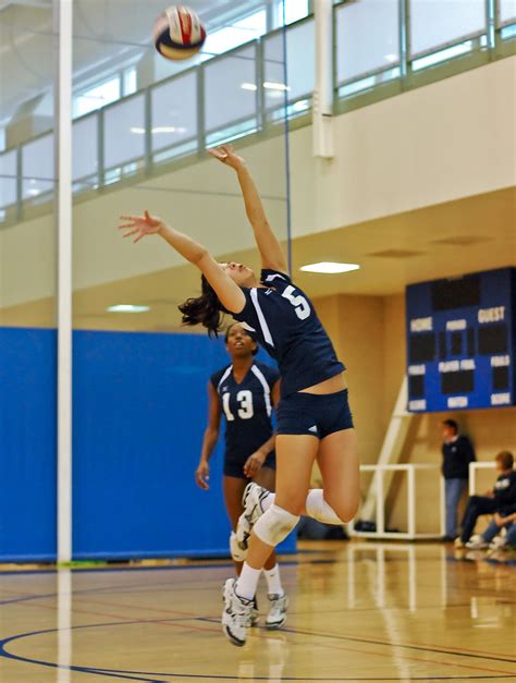 Flickriver Photoset Uc Davis Women S Varsity I Volleyball Friendship