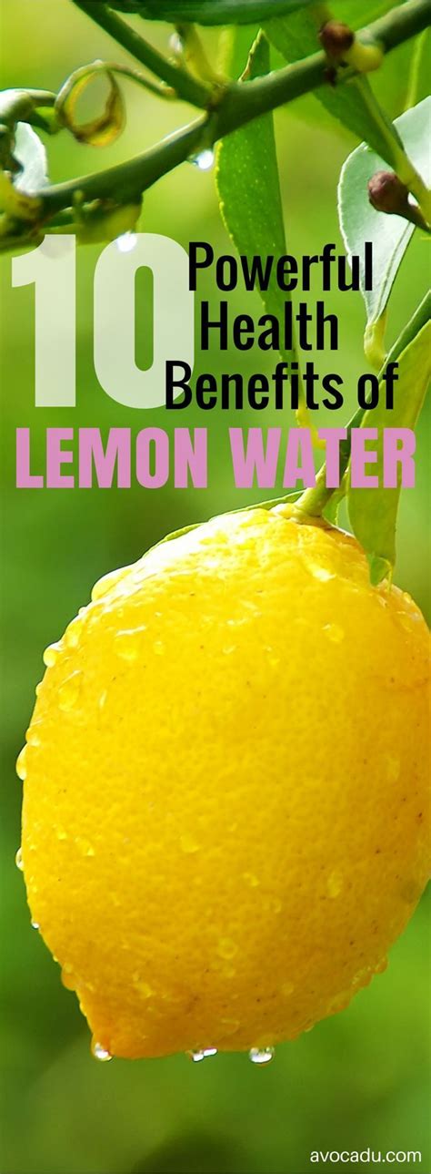 14 Day Lemon Water Challenge To Lose Weight How To Lose Weight With Water And Lemon Healthy