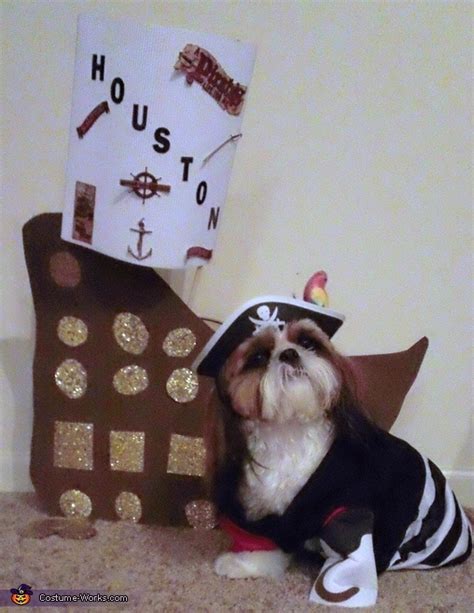 17 Costumes That Prove Shih Tzus Always Win At Halloween