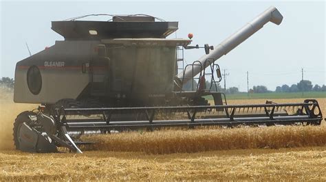 Wheat Harvest Ontario Canada Gleaner R Harvesting Wheat