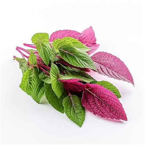 Premium AI Image Amaranth Leaves On White Background