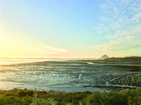 Morro Bay National Estuary Program