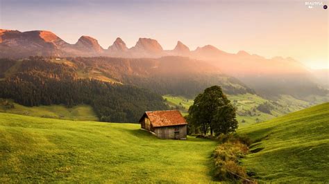 Trees Mountains Houses Sunrise Viewes Forest Beautiful Views