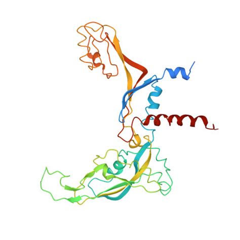 Rcsb Pdb Rqt Rna Polymerase I Twh Rrn Dna