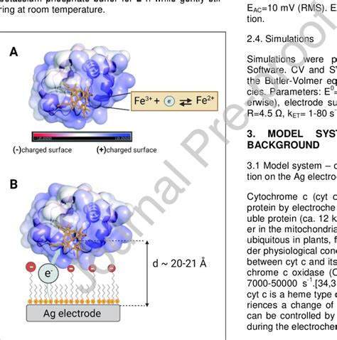 A Structure Of Cyt C With Positively Charged Surface Marked In Blue