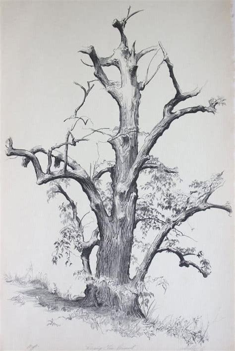 En G Zel A A Izim Rnekleri Pixselle Tree Drawings Pencil Tree