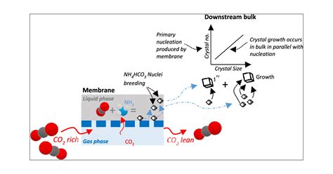 Is Chemically Reactive Membrane Crystallization Faciliated By