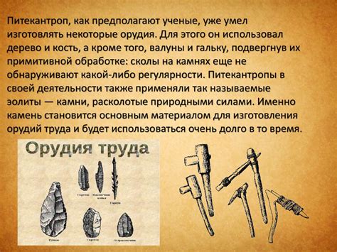 Синантроп и питекантроп. 9 класс - презентация онлайн