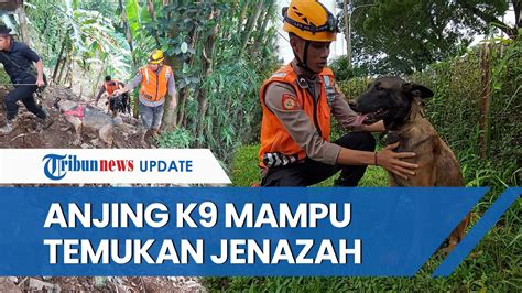 Kiprah Anjing Pelacak K9 Dalam Penanganan Gempa Cianjur Ada Yang