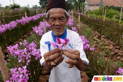 Fantastis Gambar Anggrek Vanda Douglas Gambar Bunga Indah