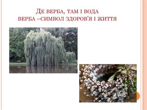 презентація "Народні символи України"