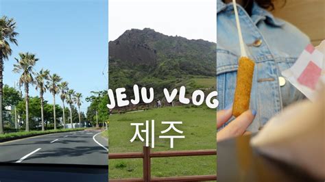 Jeju Island Vlog Korea S Beautiful Country Side Walking At 5am And