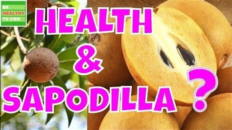 Sapodilla Health Benefits Of The Fruit Sapodilla Youtube