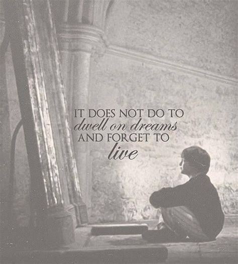 It Does Not Do To Dwell On Dreams And Forget To Live Harry Potter And The Sorcerer’s Stone