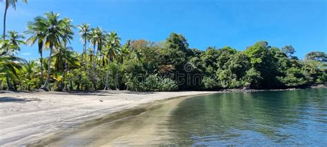 Amazing Nature of Panama, Chiriqui Stock Image - Image of beaches, panama: 244620463