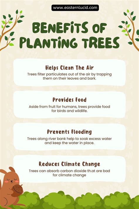 The Power of Planting Trees: 4 Benefits You Can't Ignore