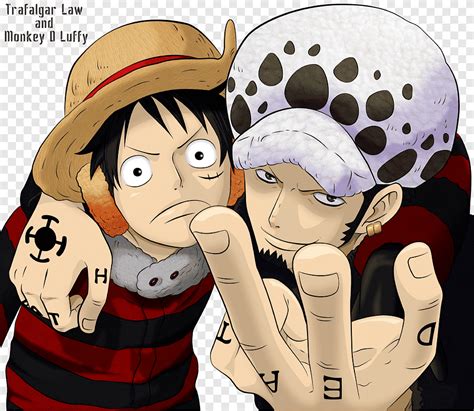 Mono D Luffy Trafalgar D Ley Del Agua Roronoa Zoro Una Pieza Nami