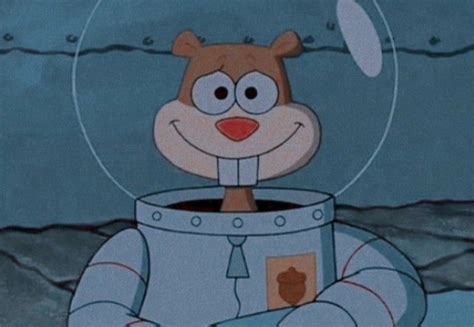 Sandy Cheeks Aesthetic Icon