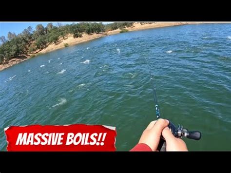 New Hogan Lake Striped Bass Fishing Youtube