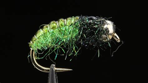 Green Caddis Nymph Fly Youtube