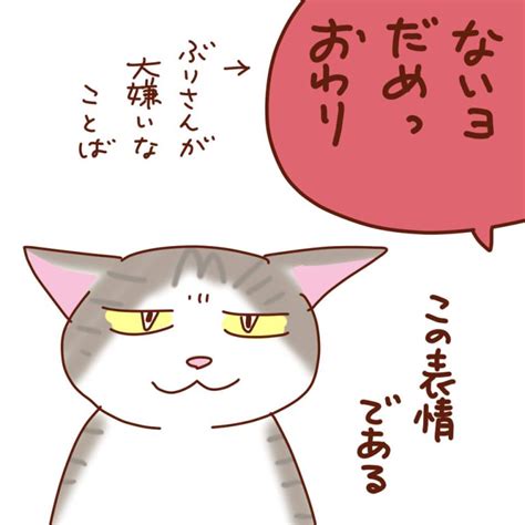 猫の表情 Ediary 猫と酒を愛す独女の絵日記