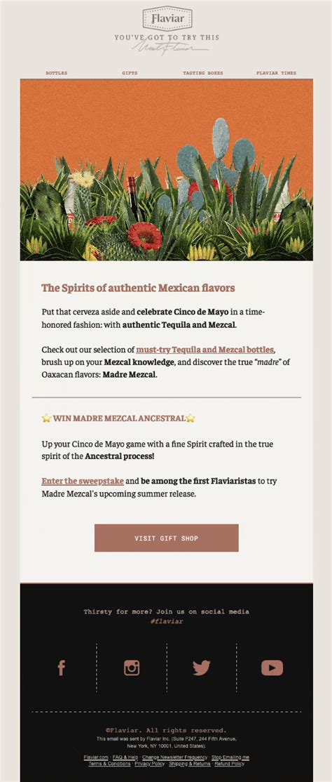 Cinco De Mayo Email Marketing Best Examples And Tips Selzy Blog