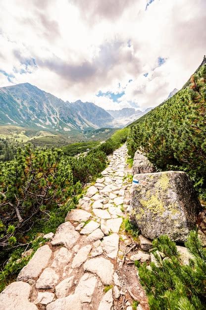 Premium Photo | Tatra national park in poland tatra mountains panorama hiking in gasienicowa ...