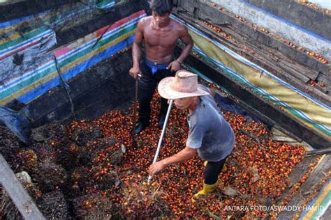 Dorong Hilirisasi Kemenperin Susun Peta Jalan Industri Sawit Indonesia