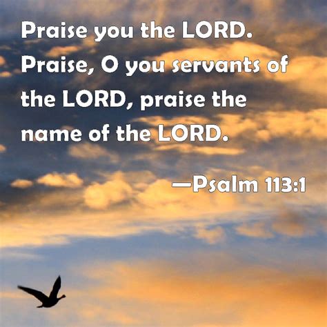 Psalm 1131 Praise You The Lord Praise O You Servants Of The Lord