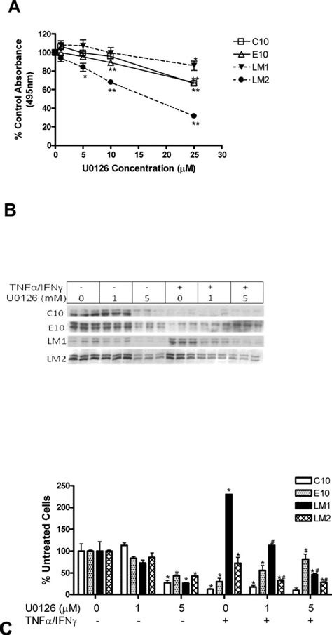 U0126 Inhibits Cell Proliferation And Cyclin D1 Expression Download