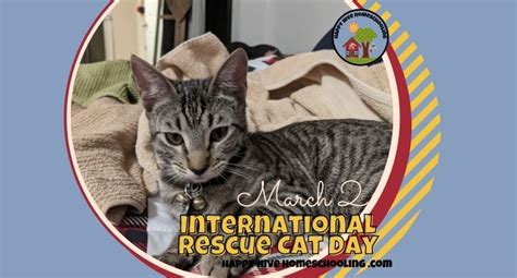 International Rescue Cat Day Happy Hive Homeschooling