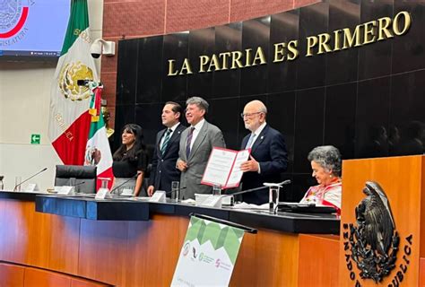 Senado Reconoce Labor De La Conabio A 30 Años De Su Creación • Once Noticias