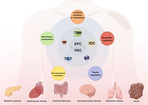 Frontiers Editorial Tissue Resident Immune Cells In Tumor Immunity