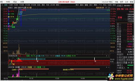 通达信套装分时t0，vip高抛低吸公式推荐，分时vip主图 分时机构买卖 分时打板 分析家公式网