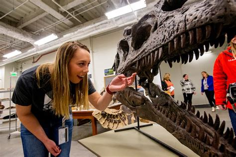 New Species Of Meat Eating Allosaurus Announced By Utah Scientists Deseret News