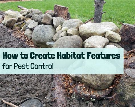 How to Create Habitat Features for Pest Control - Growing with Nature