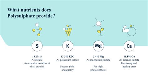 Polysulphate Premium Taurus