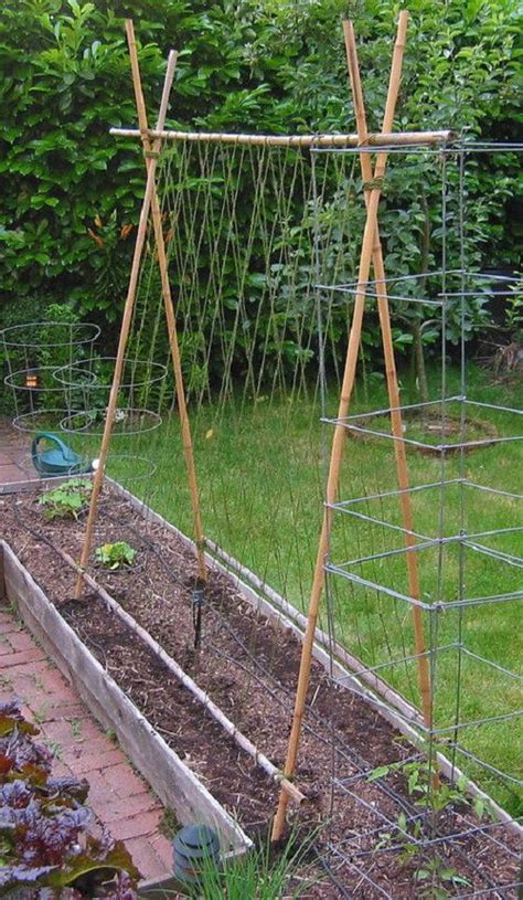 Easy And Cool Diy Bean Trellis Ideas Balcony Garden Web