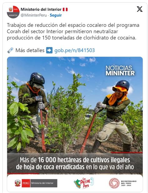 Se erradicaron más de 16 000 hectáreas de cultivos ilegales de hoja de