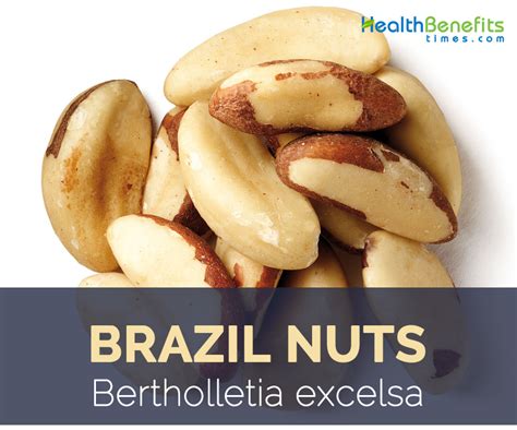 Brazil Nuts Facts And Health Benefits