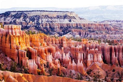 Bryce Canyon By Robbie Shade Canyon Scenic Photography Grand Canyon