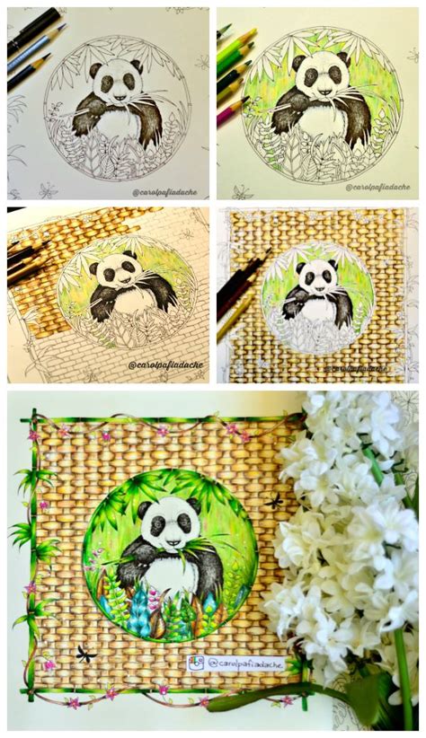 Panda Magical Jungle Selva M Gica Joanna Basford Coloring