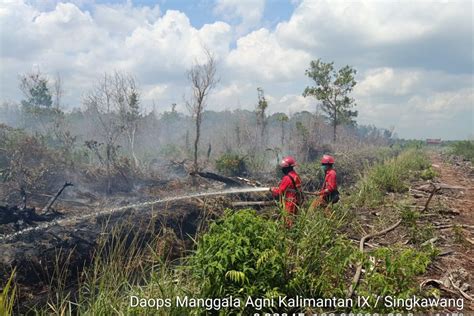 Seluas 3 5 Hektar Lahan Di Singkawang Terbakar ANTARA News