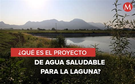 Agua Saludable Para La Laguna De Qué Trata El Proyecto Grupo Milenio