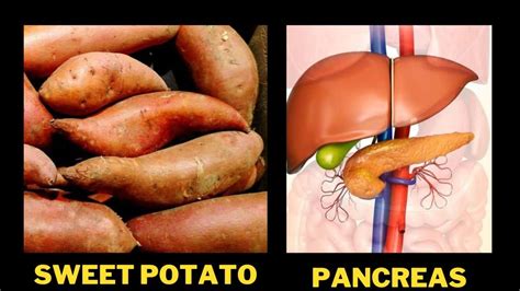 Ten Foods That Look Like Body Parts