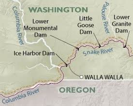 Snake River Dams Wscffi