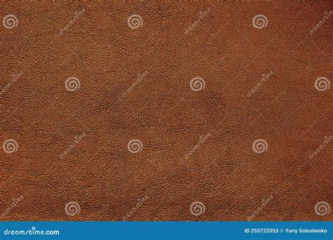 Natural Leather Structure Material Abstract Texture Background Stock