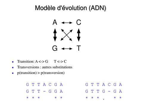 Ppt Alignement De Séquences Biologiques Laurent Duret Pôle