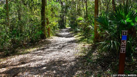 Timucuan Ecological and Historic Preserve | TIMUCUAN TRAIL